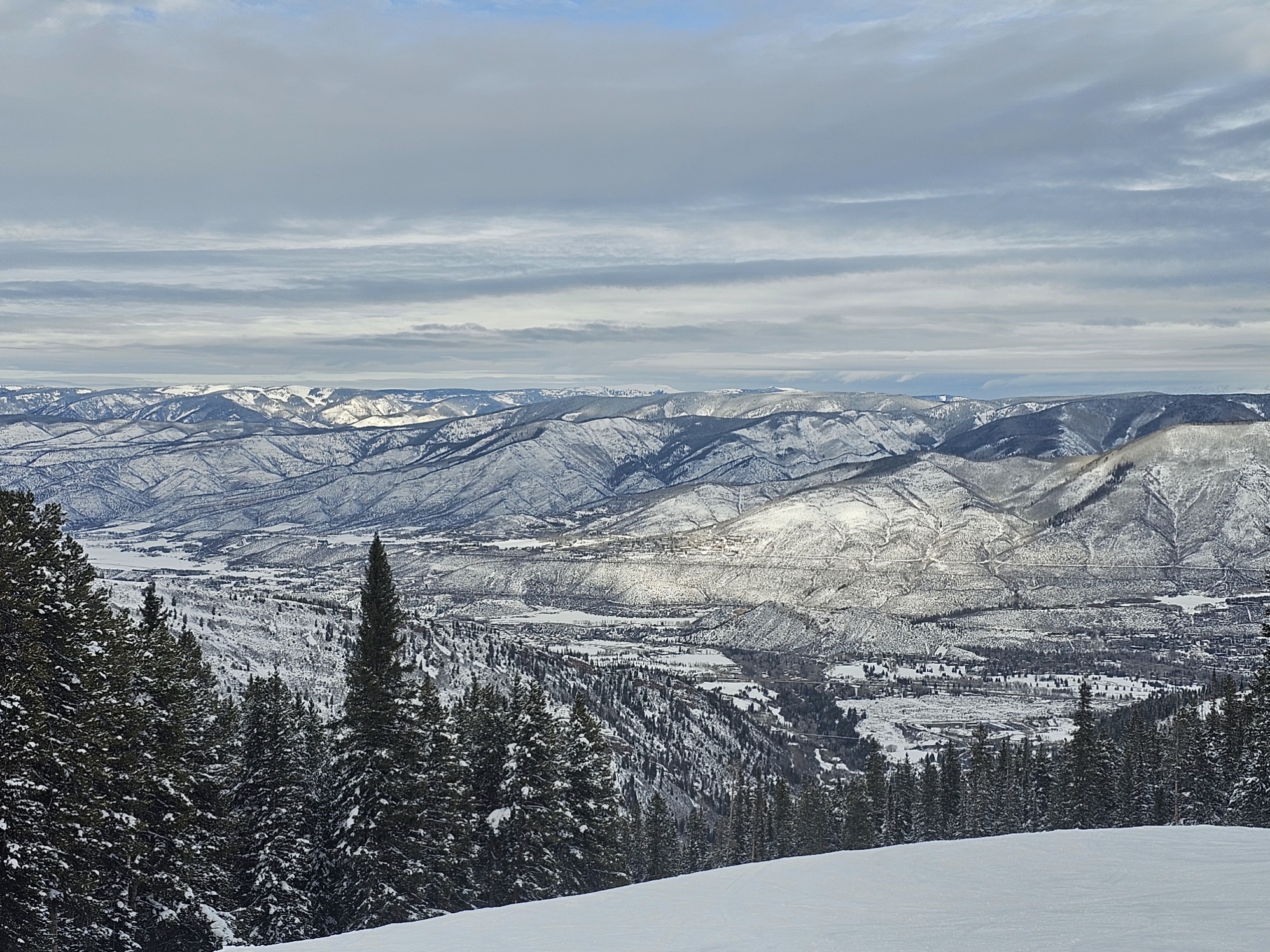 Top of Jackson Mtn